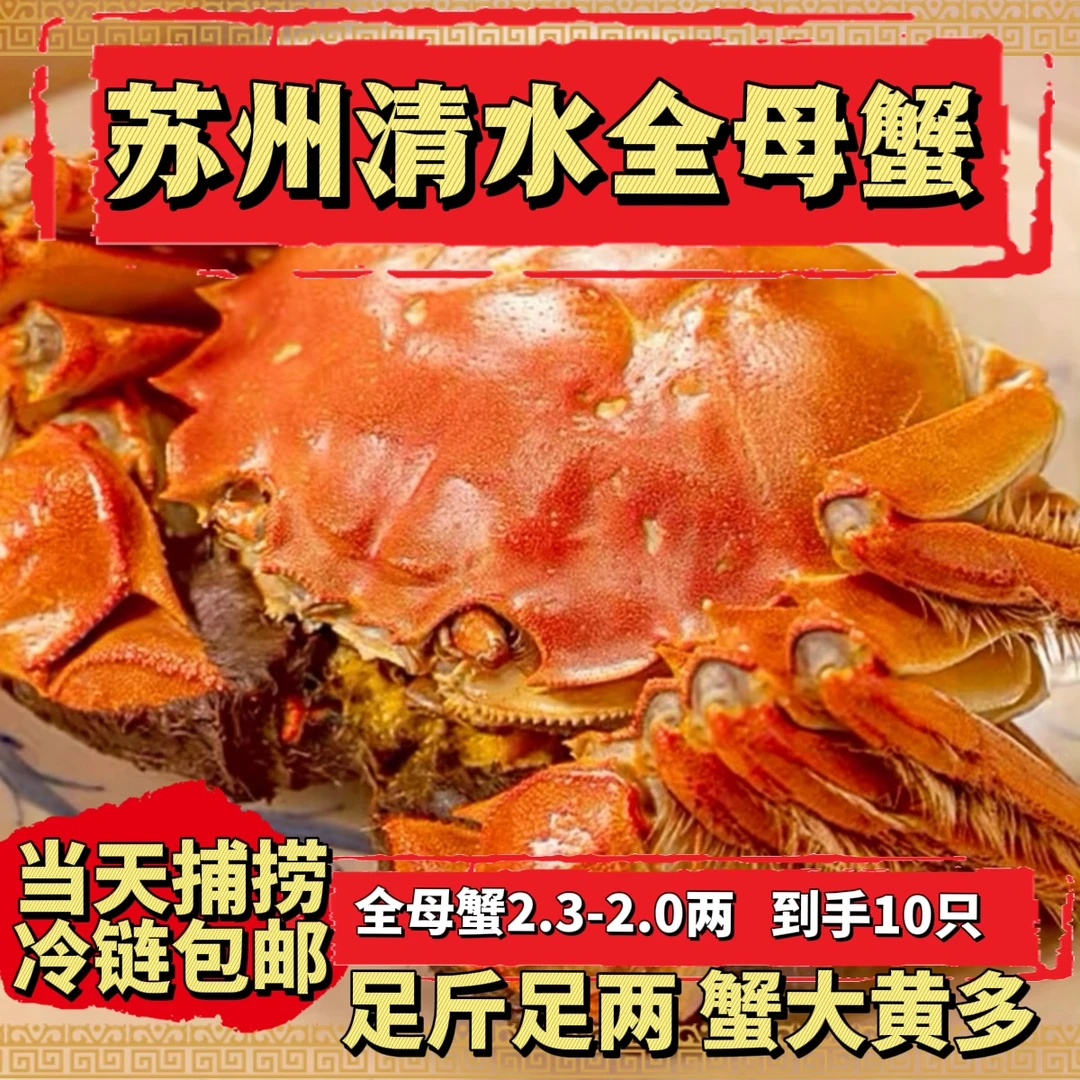 【活蟹现发】苏州鲜活清水 螃蟹 全母蟹 2.3-2.0两 买8送2 共10只