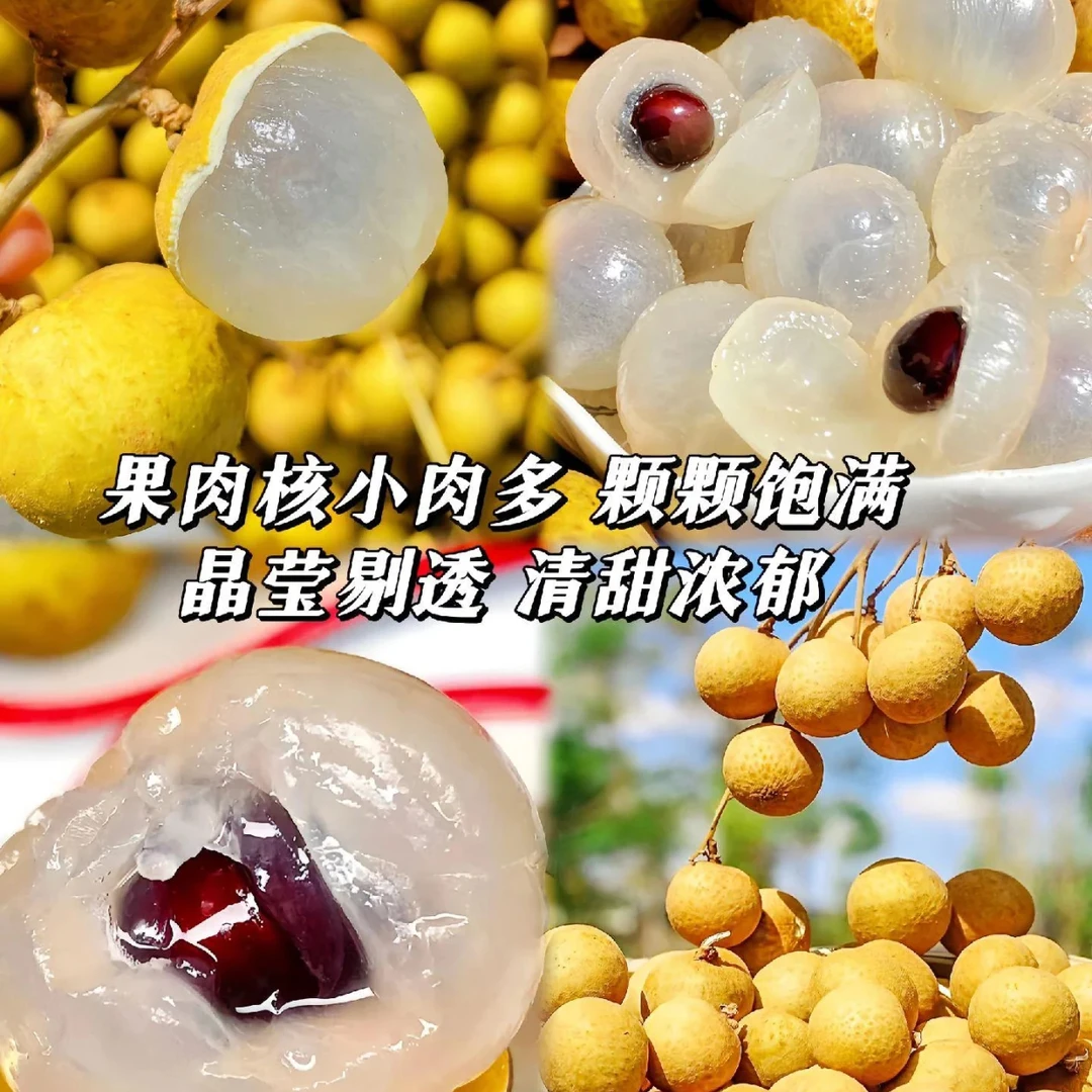 ABC【福利品】新鲜泰国龙眼1/2/3/5斤核小肉多爆甜爆汁现摘现发