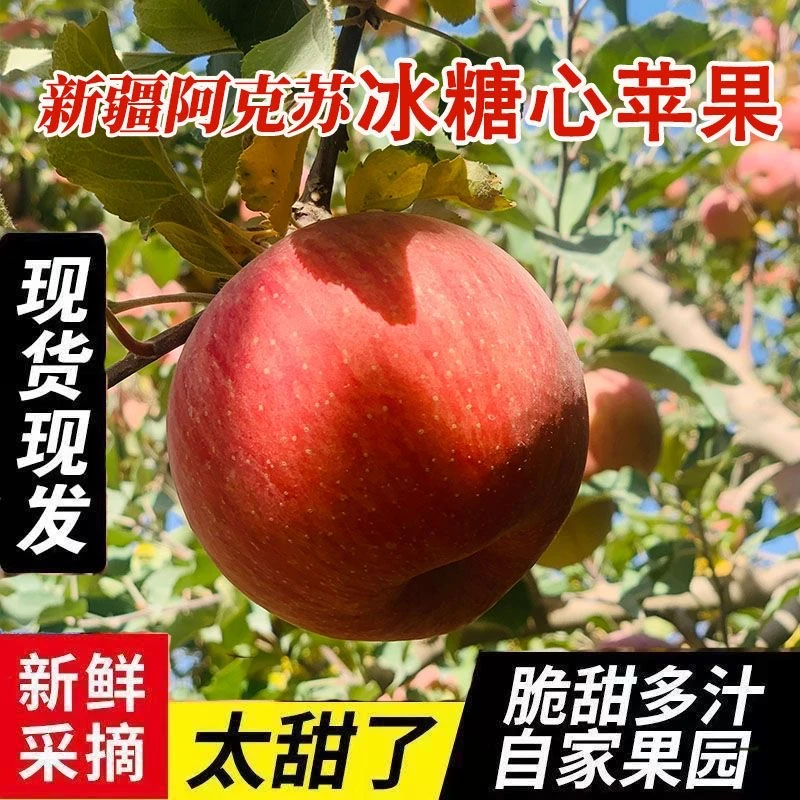 品味西域{新疆直发}阿克苏香妃冰糖心苹果脆甜多汁新鲜水果
