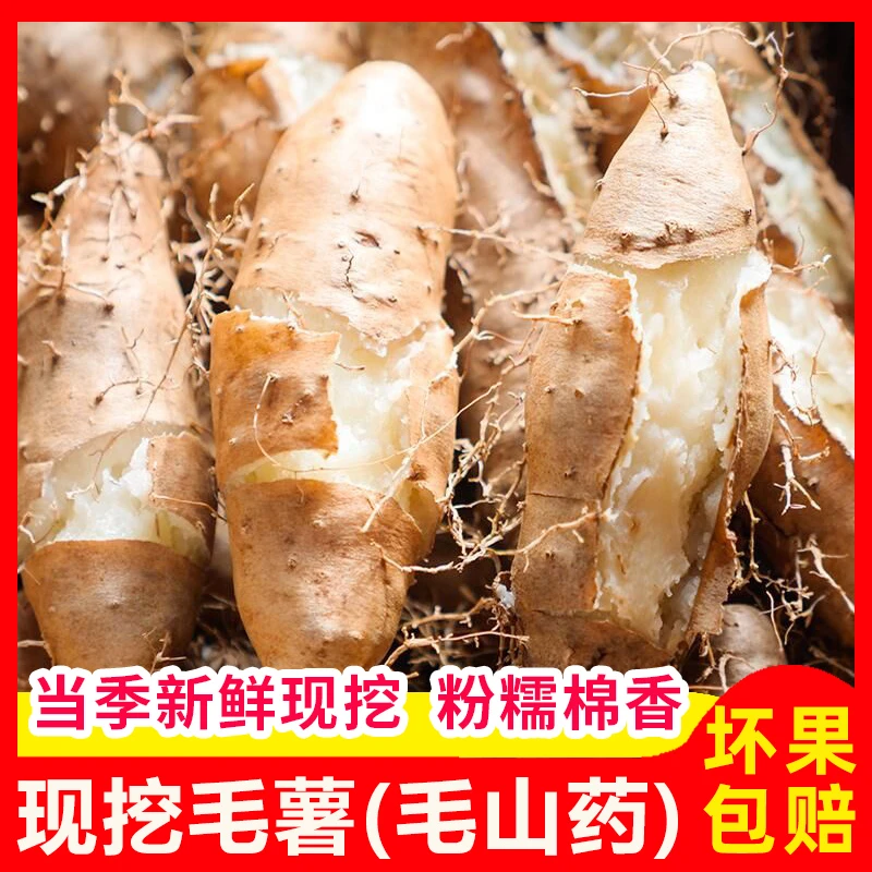新鲜毛薯大果茂名白心田薯粉糯山药农家现挖甜薯火苕脚板薯3斤5斤