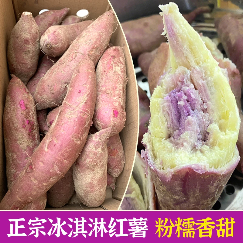 正宗冰淇淋红薯3斤新鲜现挖广东茂名特产一点红番薯粉糯干面香甜