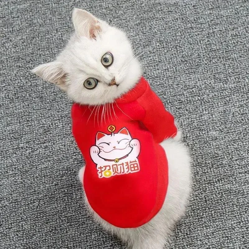 新疆包邮猫咪衣服卡通印花喜庆卫衣秋冬布偶英短银渐层小狗狗衣服