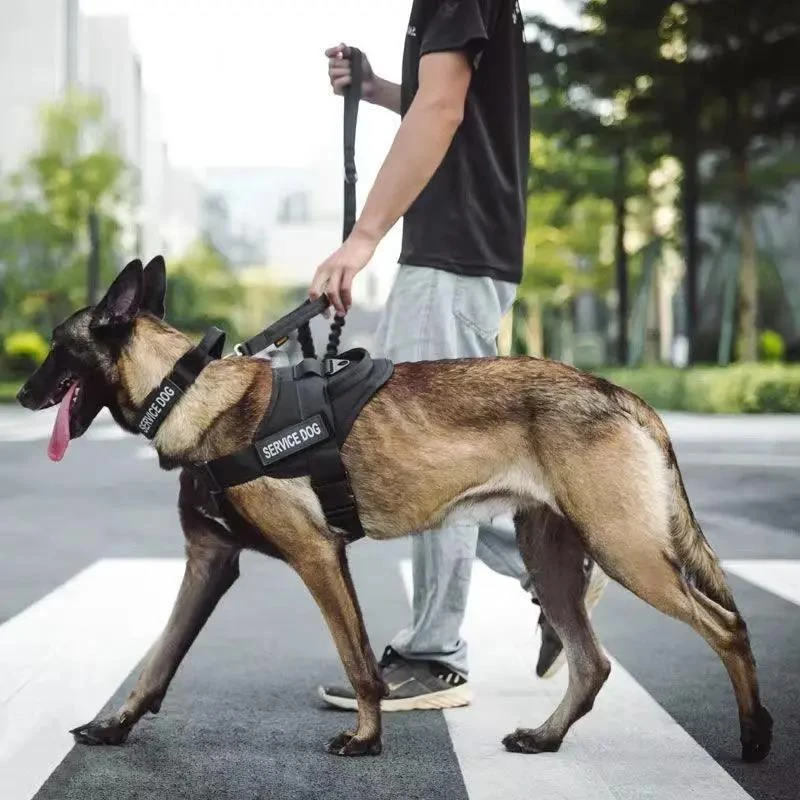 【新疆包邮】狗狗战术胸背带中大型犬背心式牵引绳德牧金毛马犬