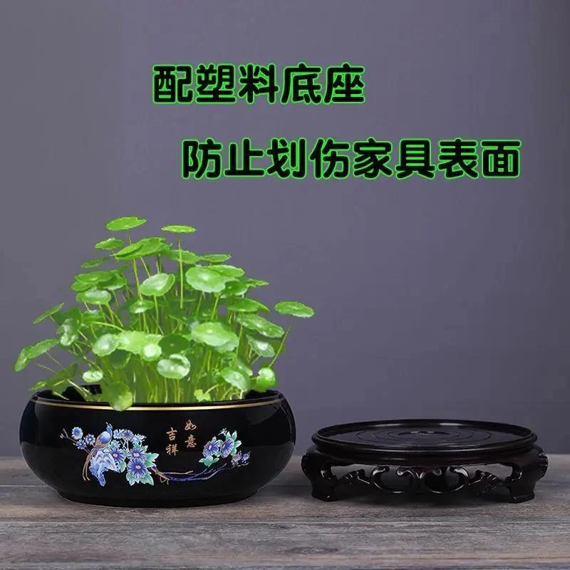 新疆包邮水培花盆陶瓷大号铜钱草睡莲一叶莲碗莲金