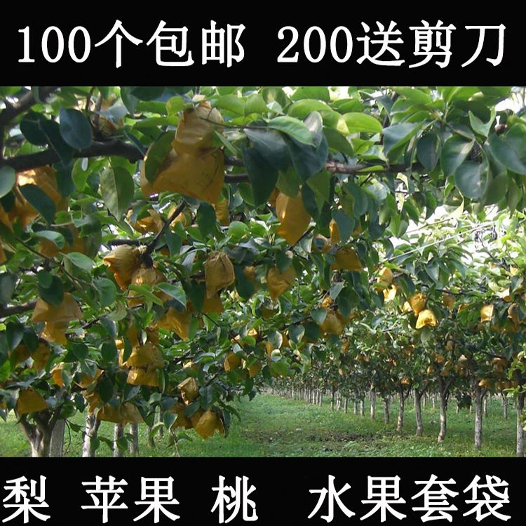 套袋梨子包装果树防鸟防虫育果袋苹果桃保护通用橙子水果透气果实