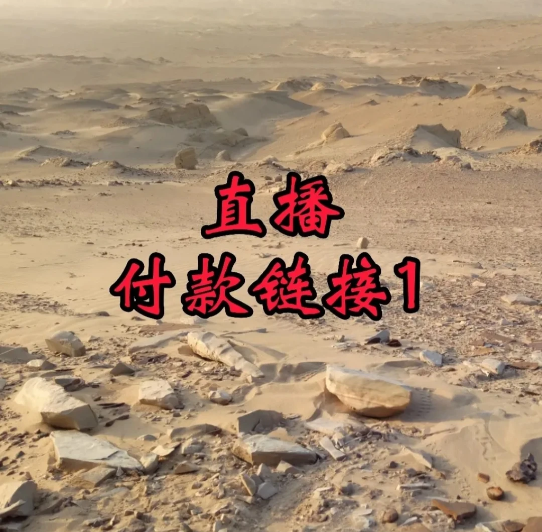 新疆戈壁石泥石摆件风凌石摆件盆景摆件假山石小摆件