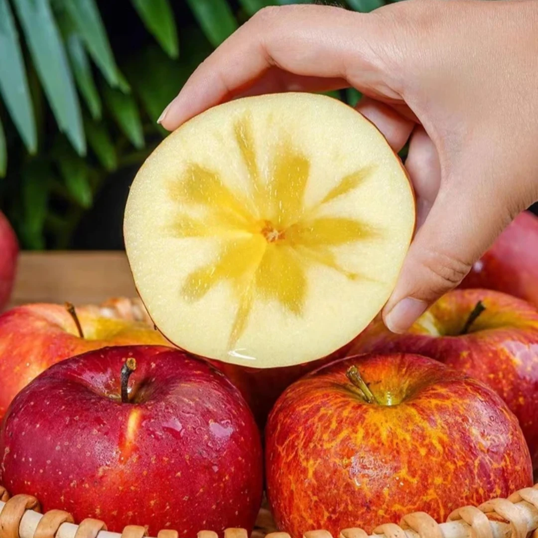 【盐源冰糖心】大凉山高山新鲜采摘糖心丑苹果产地直发整箱5/8斤