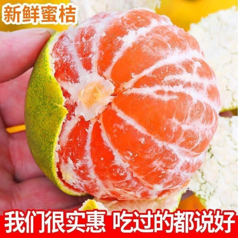 2024新鲜蜜桔现摘现发薄皮蜜桔子无籽孕妇水果一整箱1斤5斤9斤