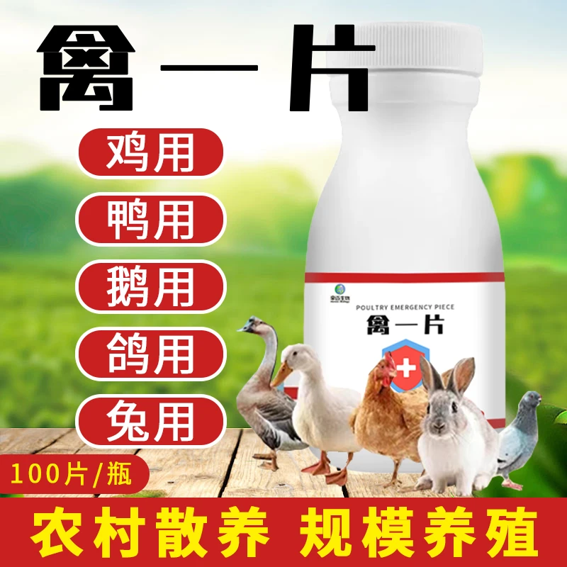 禽一片鸡鸭鹅畜牧鹌鹑鸽子沉耷拉翅膀家庭养殖农村散养添加剂常备