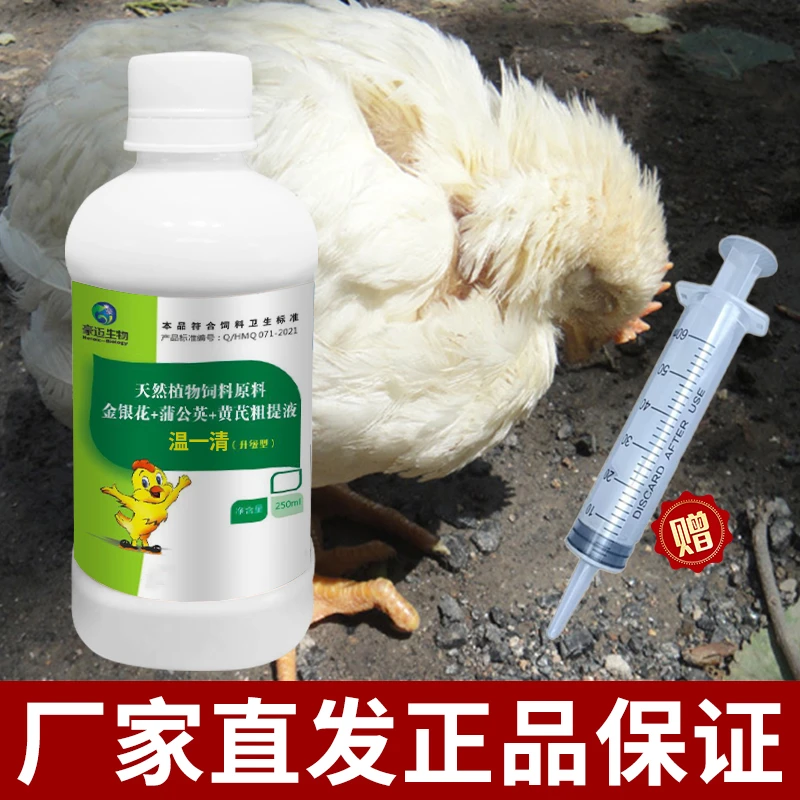 温一清鸡鸭鹅鸽子家禽白痢大肠杆菌肠炎拉稀鸡瘟呆立瞌睡沉添加剂