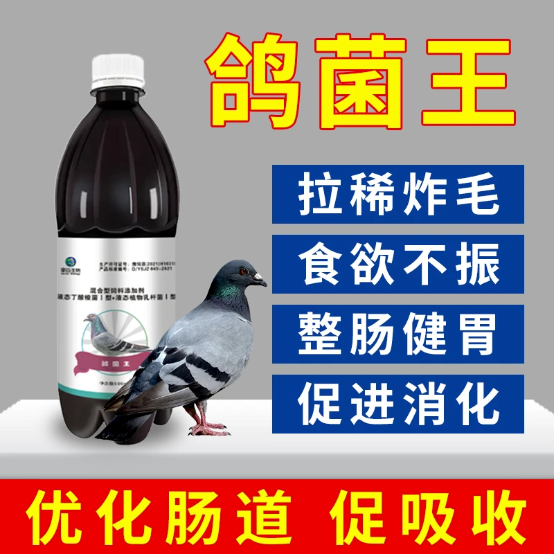 鸽用活菌王赛鸽信鸽鹦鹉鸟鸽子肠道拉稀水便绿便青条便下痢鸟类用