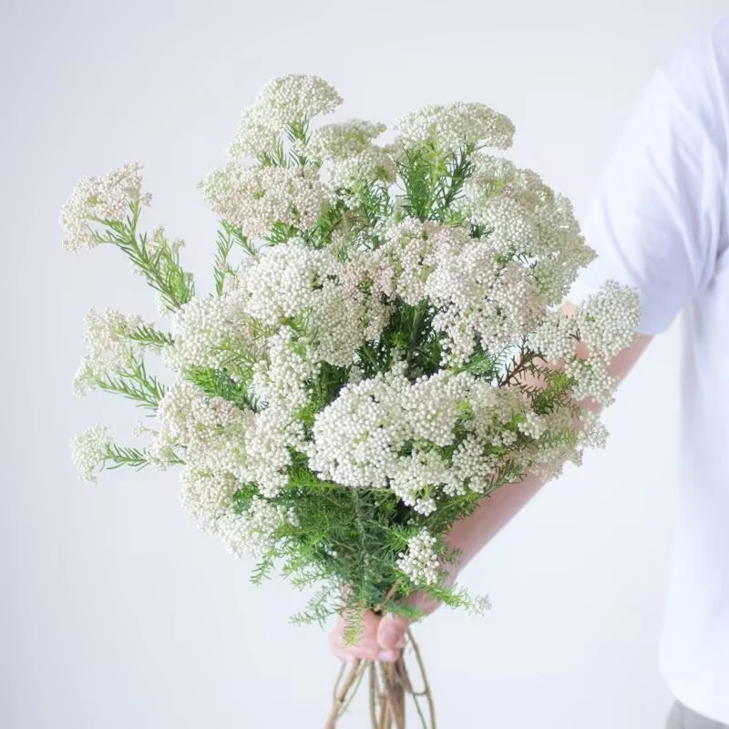 小米花云南鲜花新鲜采摘发货室内水养鲜花批发倒挂自然风干文艺范