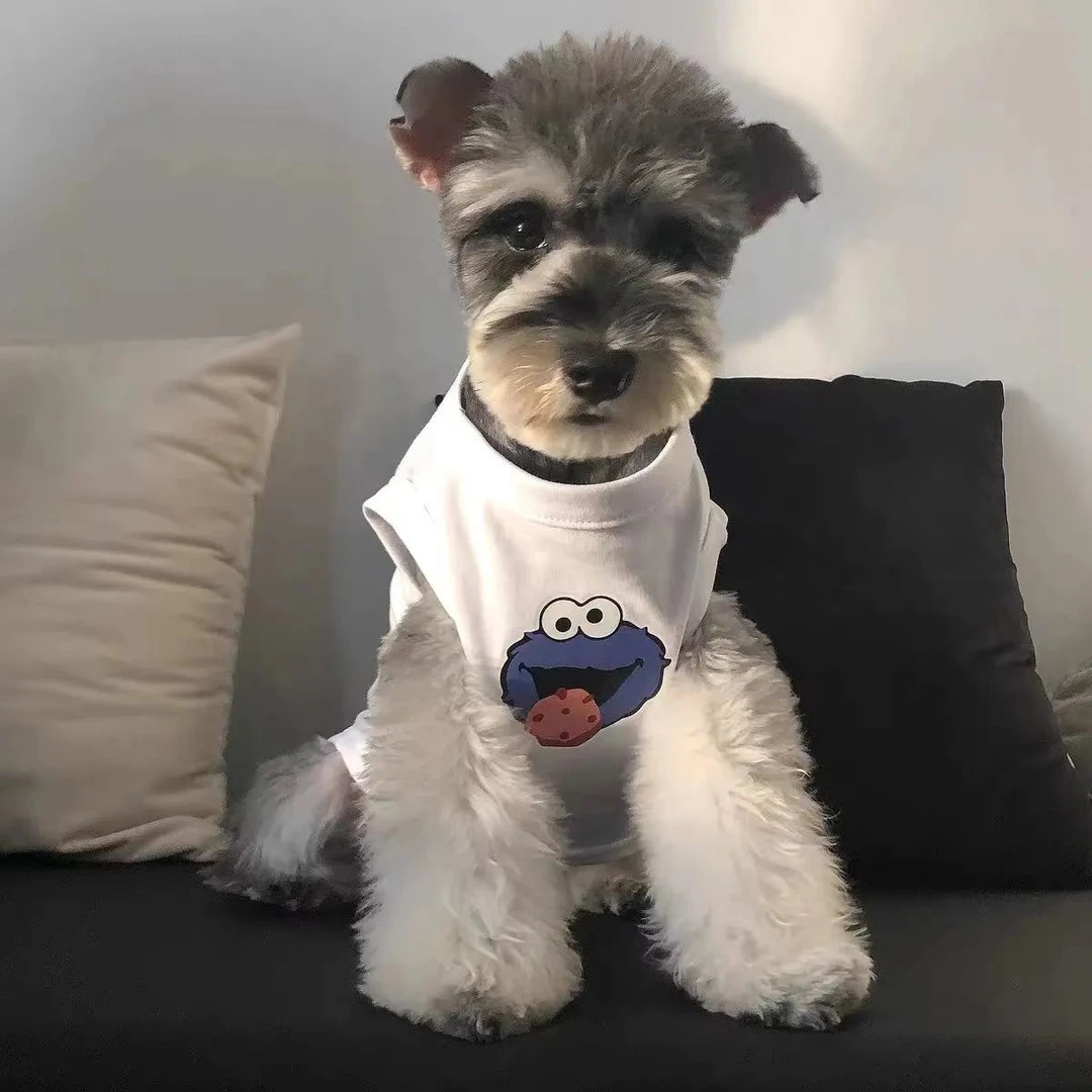 宠物衣服夏季薄款狗狗背心泰迪博美猫咪金毛小型犬透气衣服D160