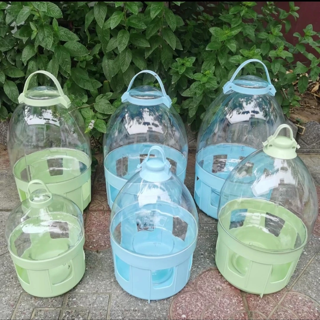 鸽子博翔透明饮水壶