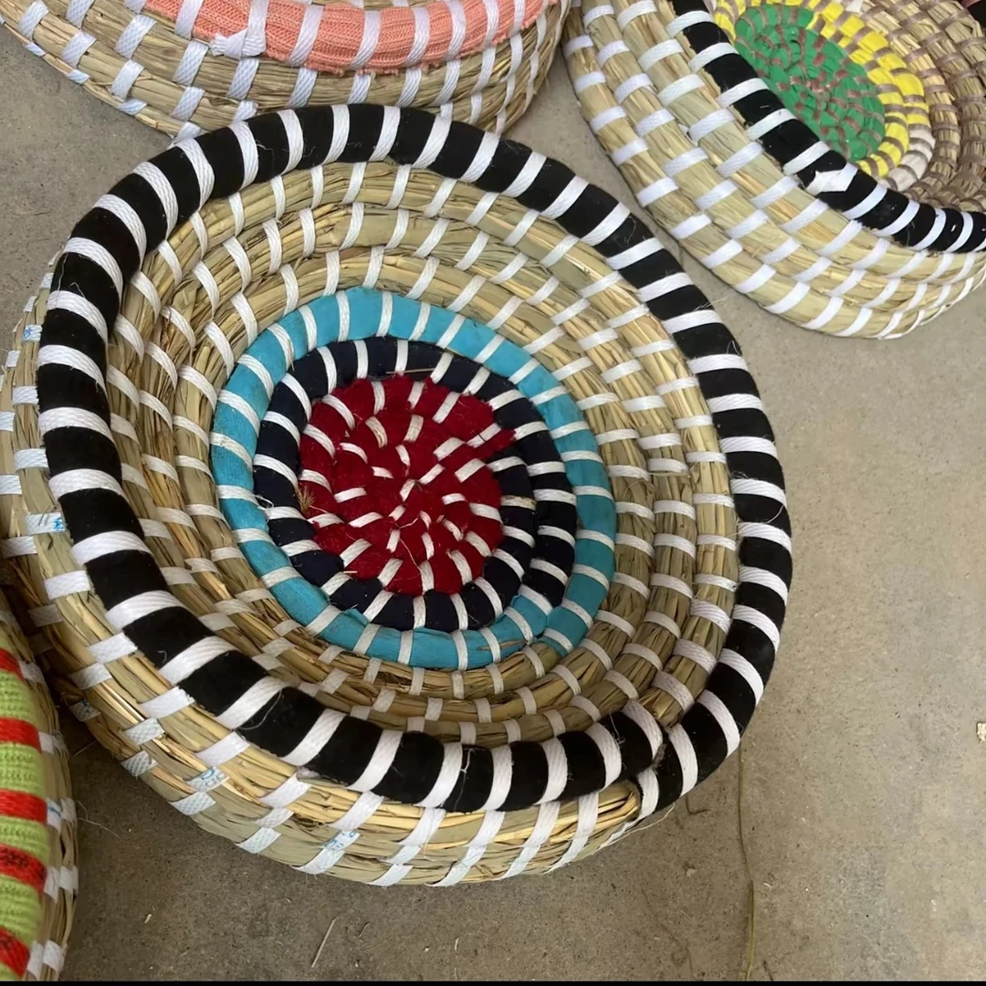 鸽子加深芦苇草窝