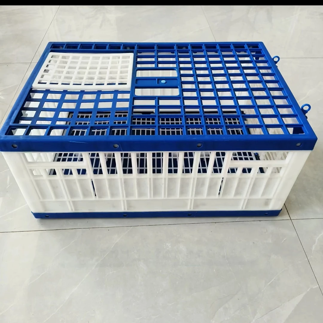 鸽子蓝白塑料拼装放飞笼