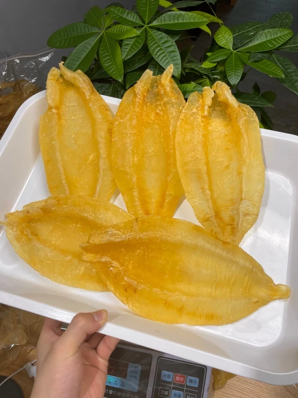 苏母深海北海胶 3.5头足干老货柔肉鳘鱼胶广东500g