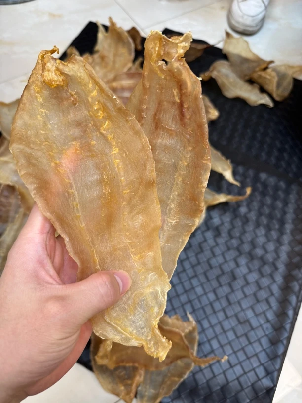 本港野生土鳘母胶 赤嘴鳘坐月子大补孕妇滋补广东1-500g