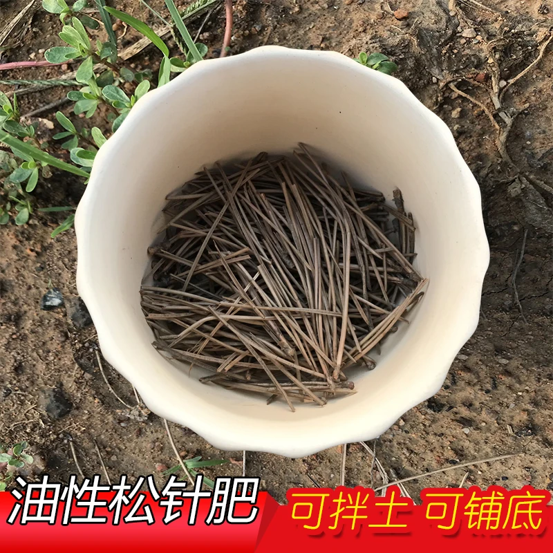 纯松针腐熟疏松透气保肥有机酸性营养土养花专用拌土铺底油性肥料