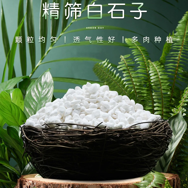 天然白石子微景观鹅卵石雨花石多肉植物铺面石鱼缸花盆装饰小石头