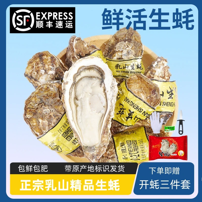 正宗乳山生蚝5斤鲜活牡蛎 威海原产地精品级肥美海蛎顺丰包邮批发