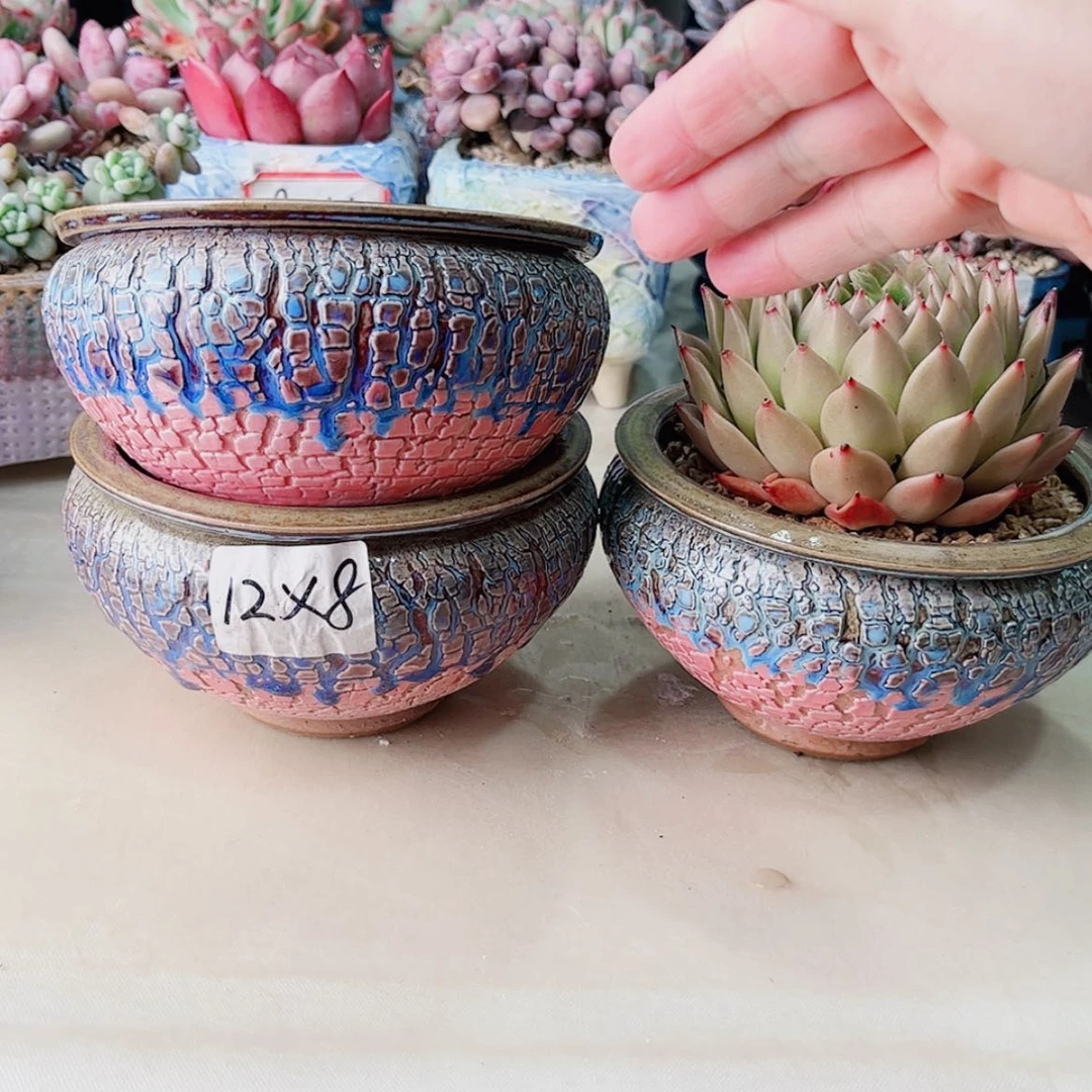 【闪购商品】陶瓷默认微瑕