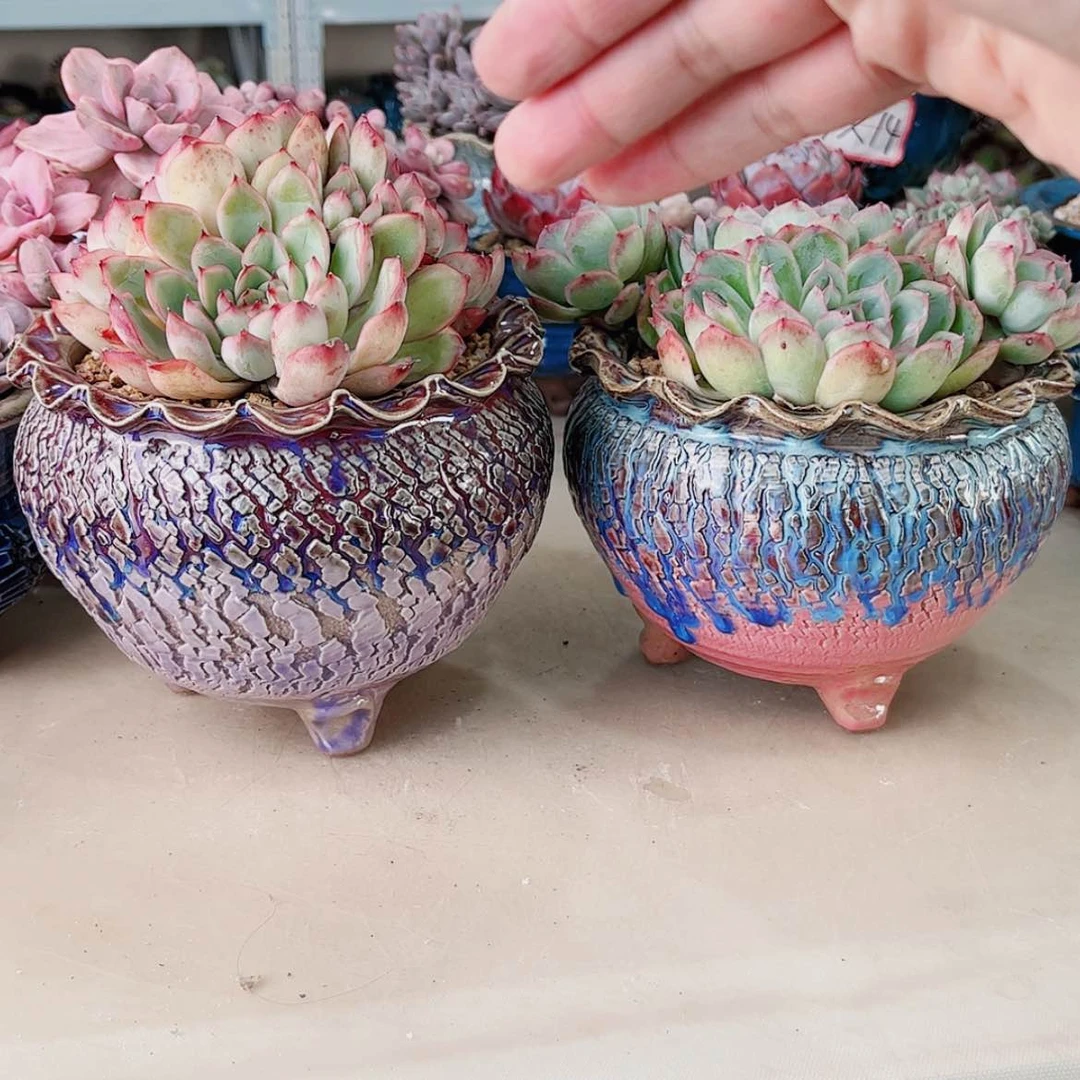 【闪购商品】陶瓷默认微瑕