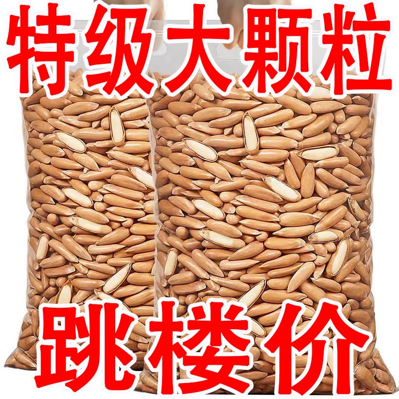 野生巴西松子新货袋装阿富汗手剥散装大颗粒非特级孕妇零食批发