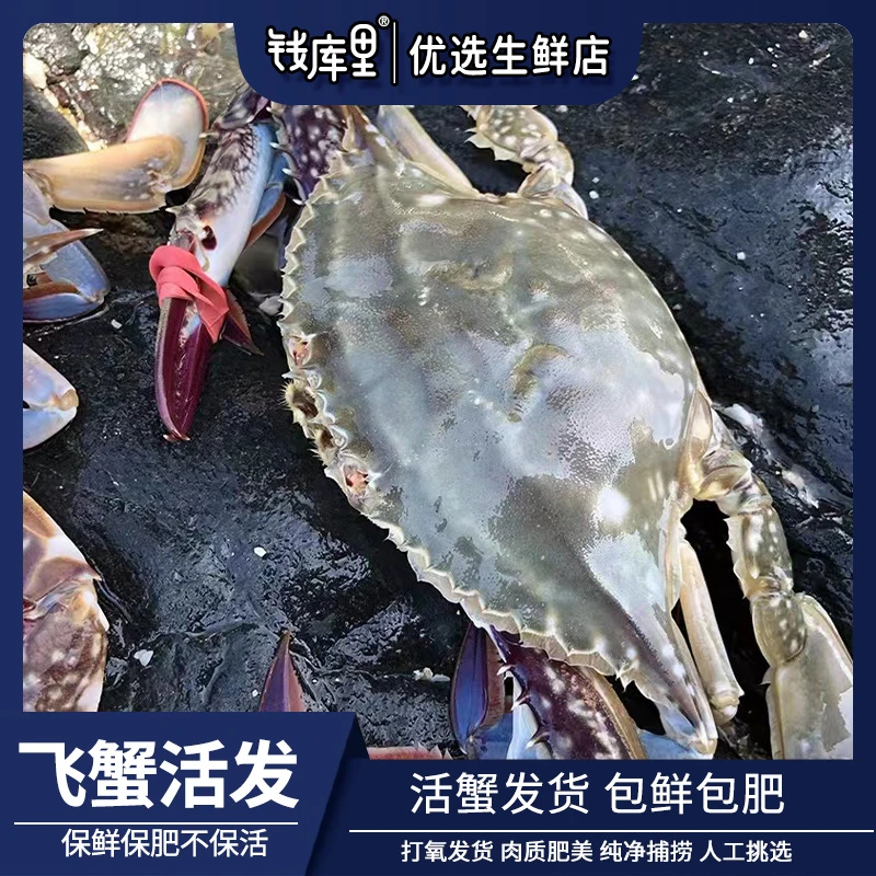 钱库里 断氧 飞蟹梭子蟹3只 大连海鲜 断腿不售后 保鲜不保活
