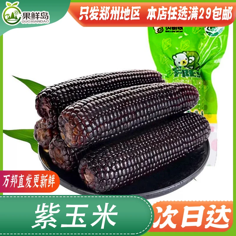 贝朗熊糯黑玉米新玉米香甜鲜糯玉米穗 万邦直发 本店任选满29元包邮【只发郑州地区】白糯玉米山西省忻州市