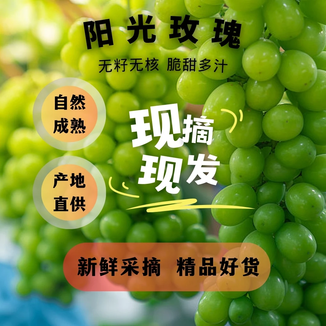 买两斤送一斤顺丰冷链水果阳光玫瑰葡萄新鲜水果晴王青提特大果