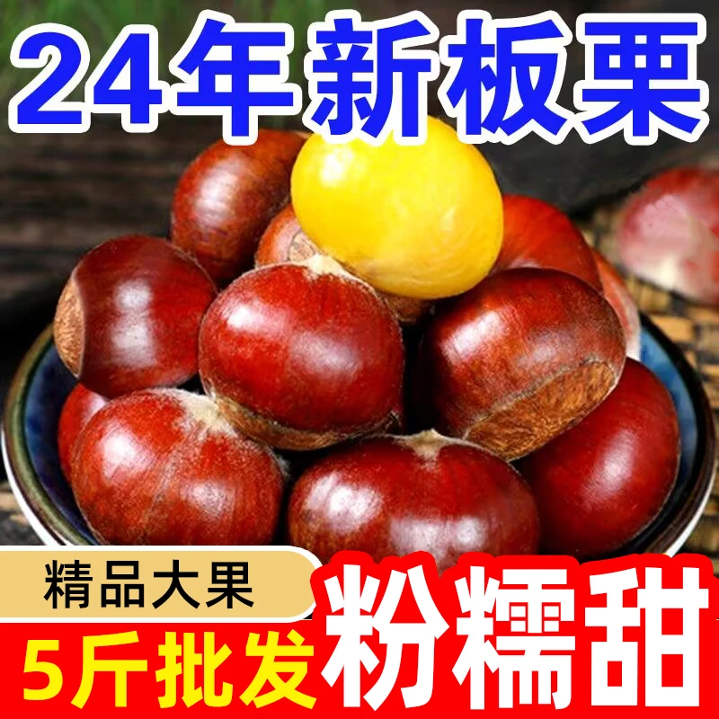 24年新鲜板栗正宗丹东栗子生栗子野生油栗子带壳粉糯甜整箱批发