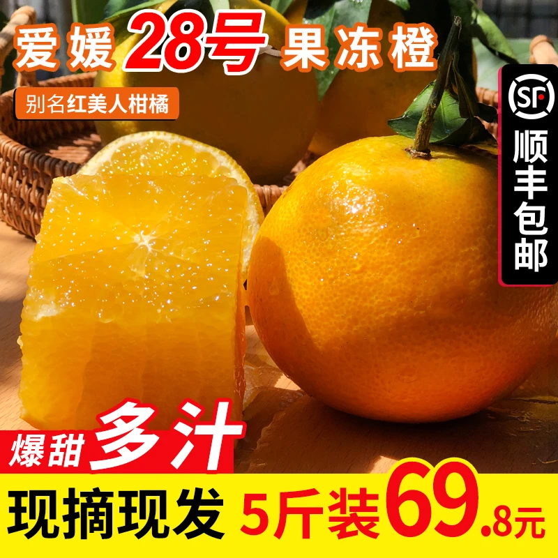 顺丰包邮福建爱媛28号红美人果冻橙柑橘水果批发4.5-斤礼盒装