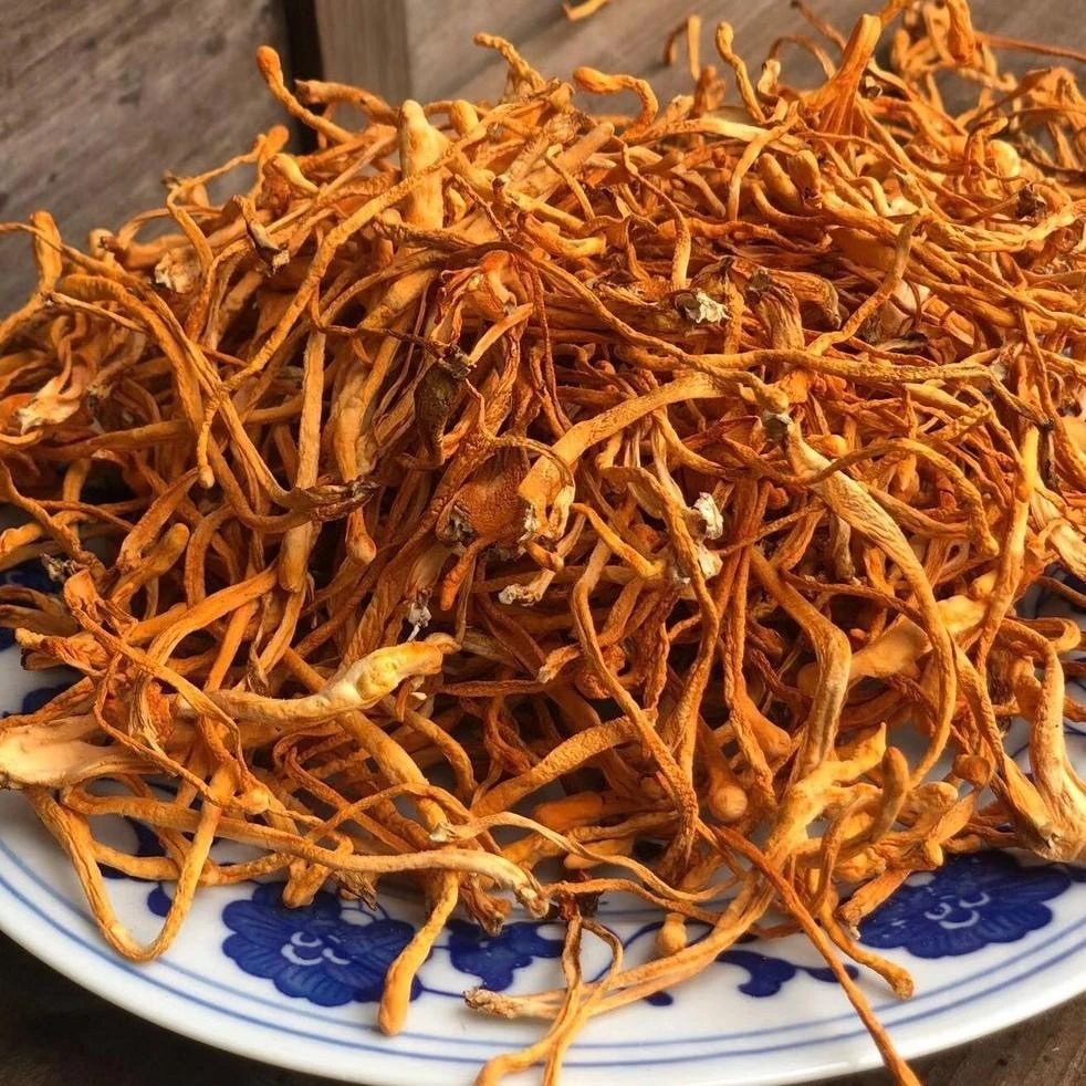 【食客蓉姐】虫草花100g~500g