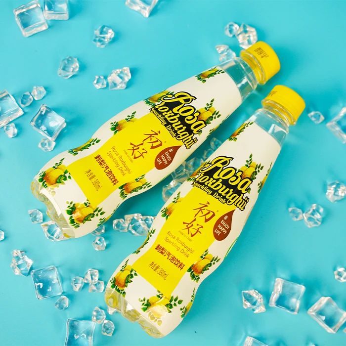 贵州初好华铁板气泡水0添加蔗糖刺梨气泡饮料380ml*15瓶/件