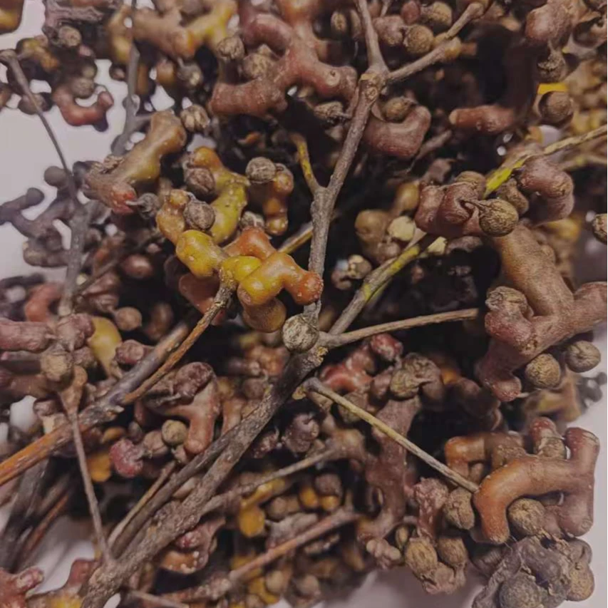 陕西野生水果拐枣新鲜万寿果现摘现发新鲜拐枣新鲜万寿果泡酒