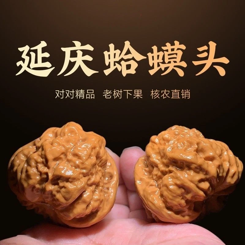 文玩好物精品文玩核桃老树延庆金蟾蛤蟆头狮子头文玩女孩小青蛙