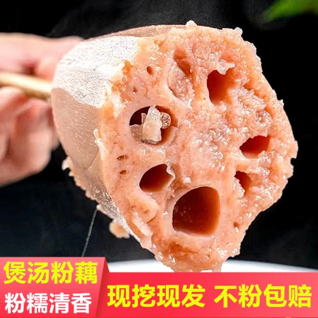 正宗洪湖粉藕监利莲藕新鲜现挖农家特产莲藕带泥藕糯米藕清香软糯