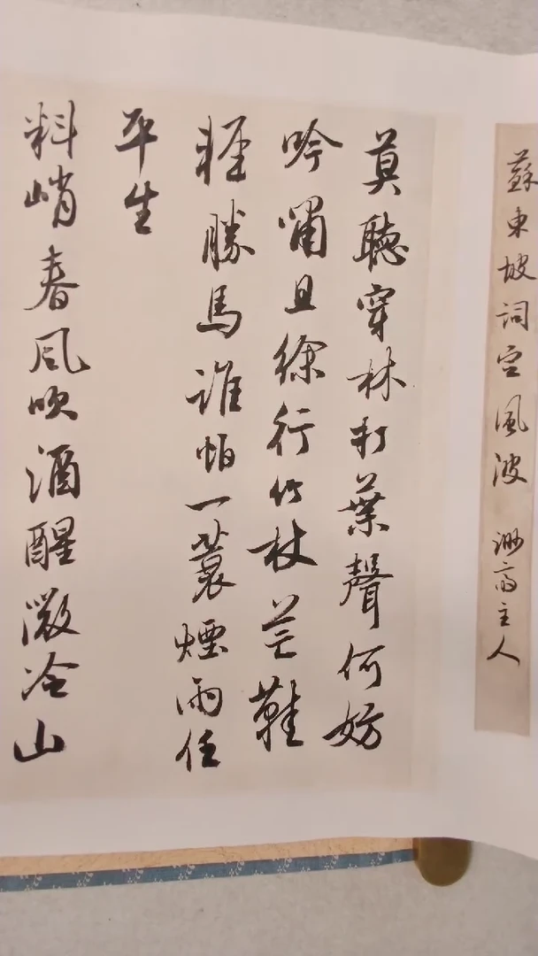 【闪购商品】书法苏东坡定风波小品