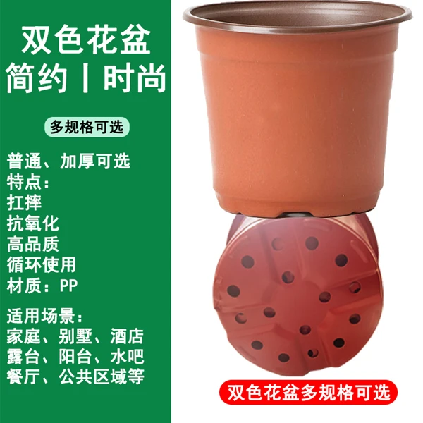加厚双色盆批发育苗杯简易花盆育苗杯多肉叶插盆大棚营养钵育苗盆