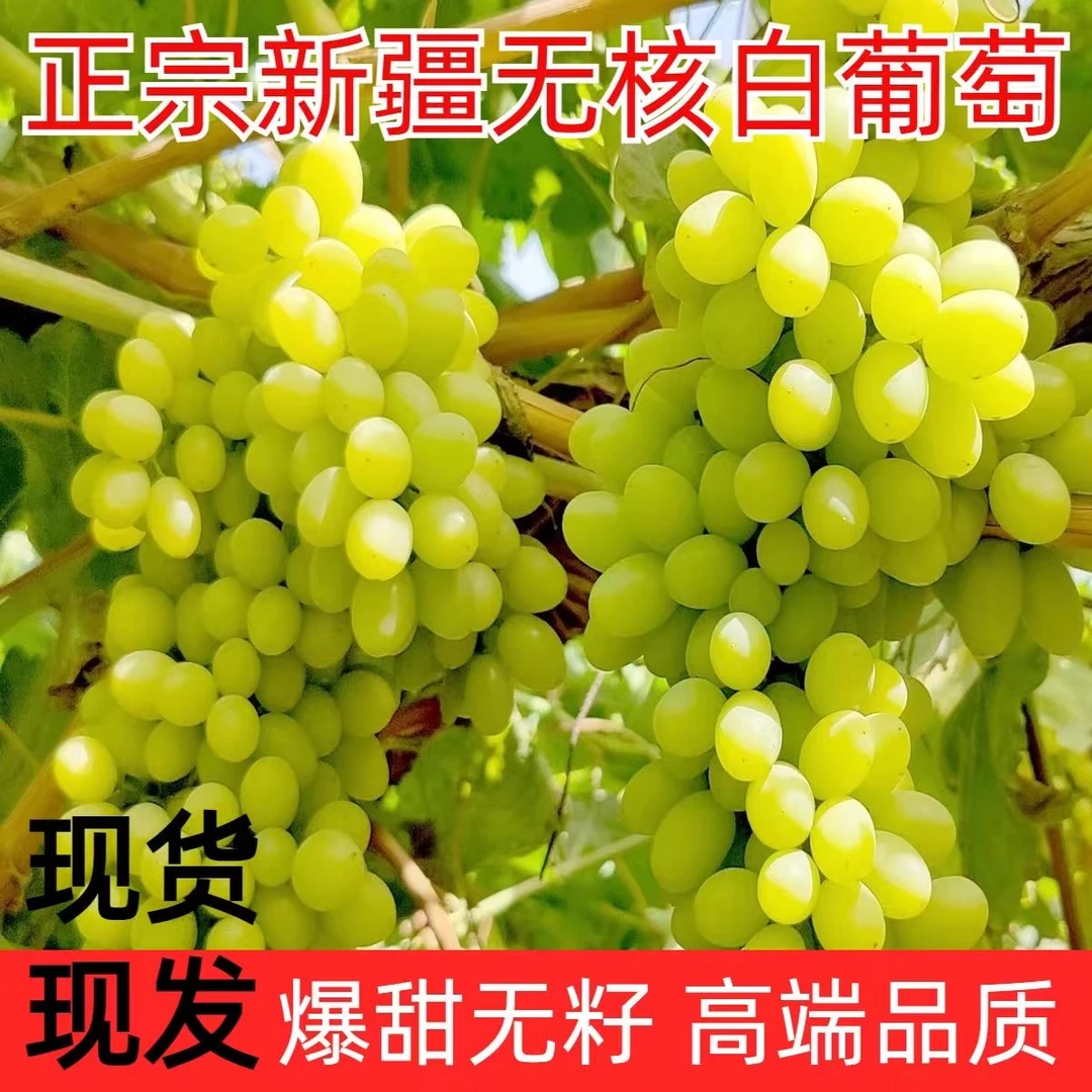 【新疆好果】吐鲁番小蜜蜂葡萄 纯甜 3.8斤