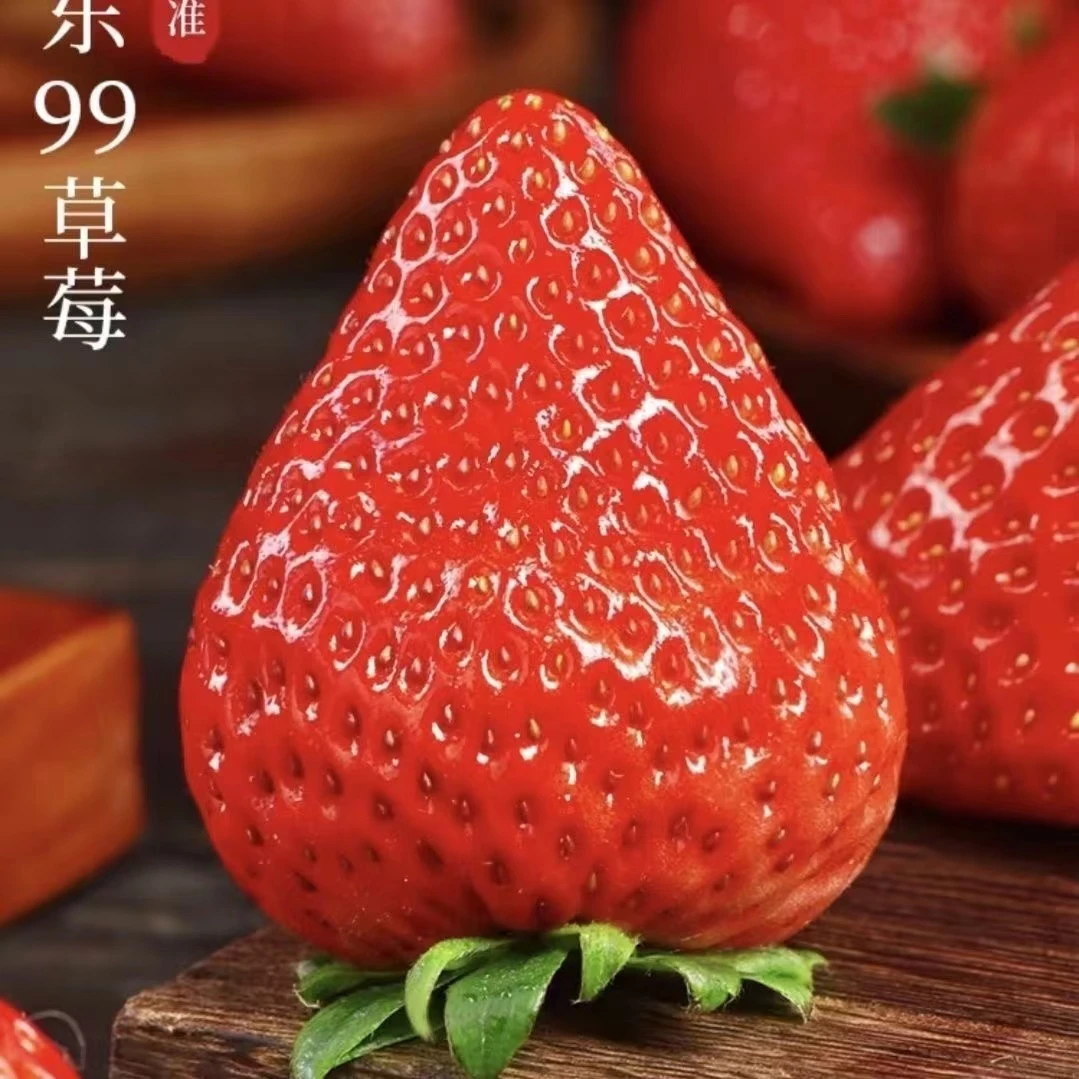 【纯丹东99】大果丹东99草莓 净2斤 香甜好吃
