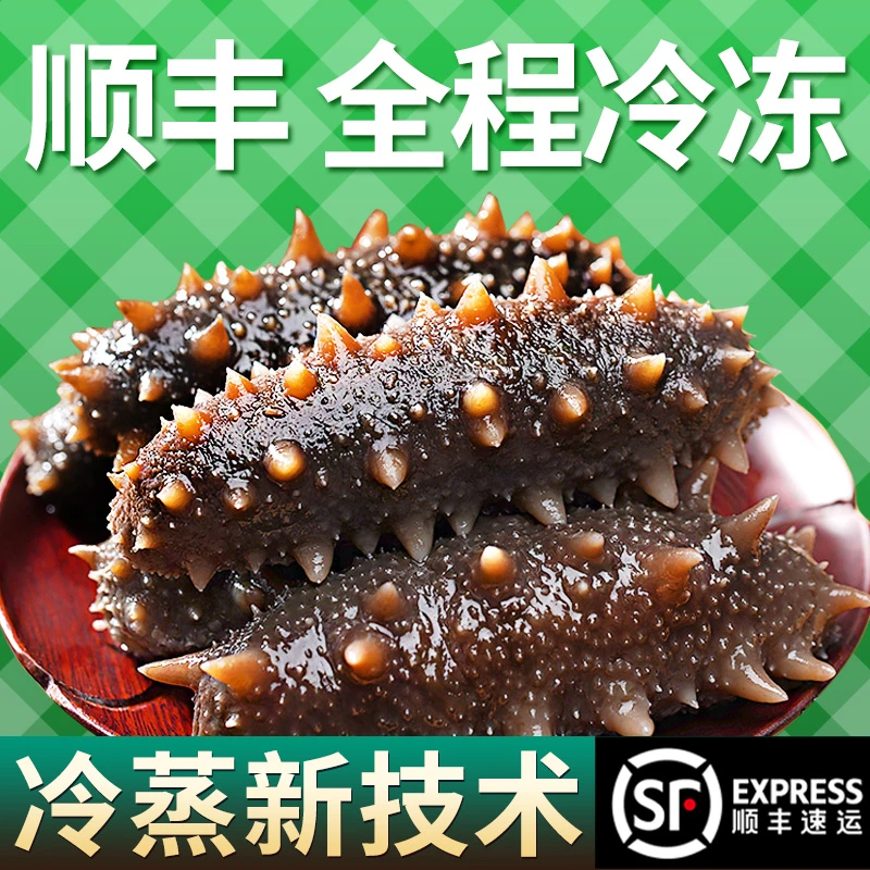 【软糯适中口感】7-9只即食海参刺参500g营养品质保证独立包装