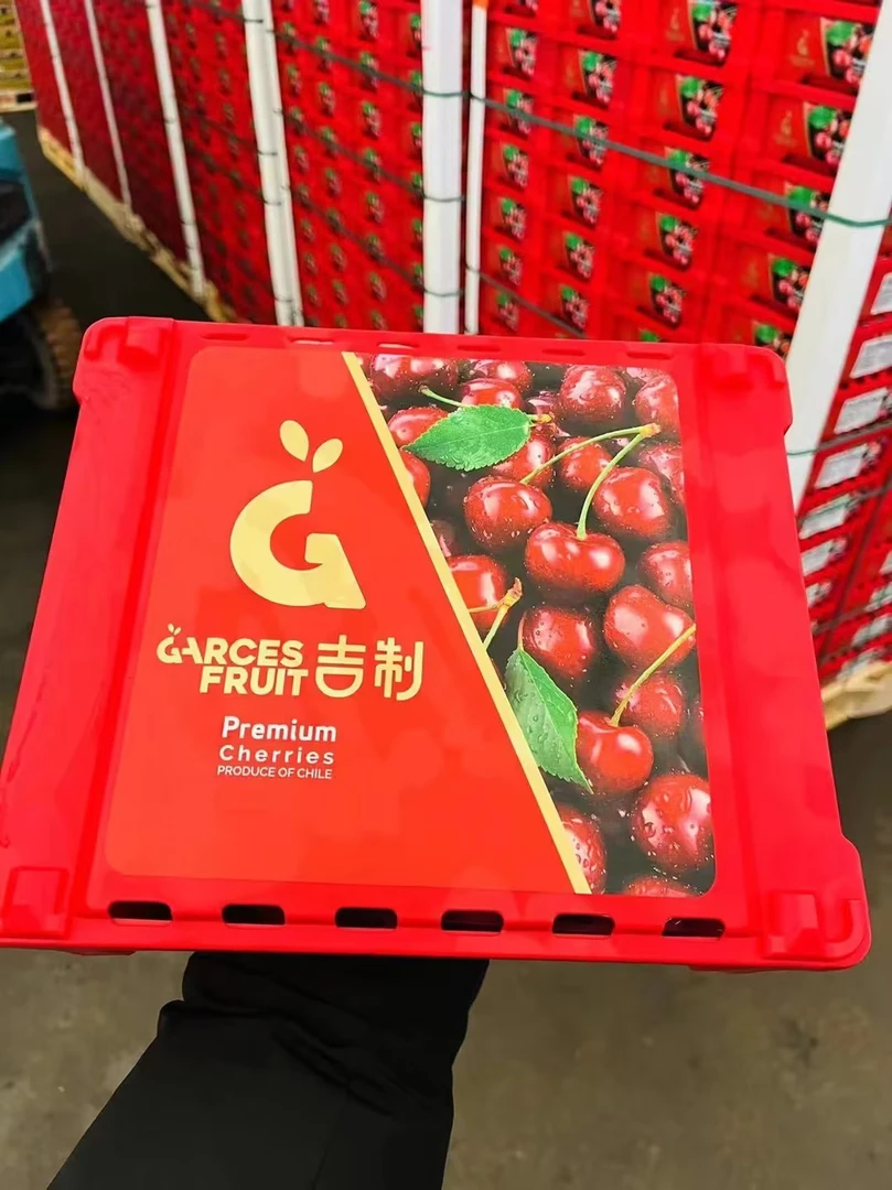 礼盒车厘子双J级5斤原装(礼盒颜色随机)