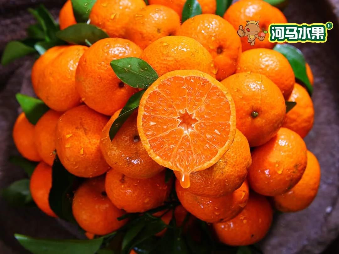 砂糖橘 约1000g/份