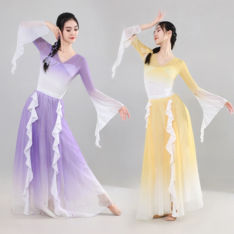古典舞演出服女飘逸仙气渐变纱衣花瓣裙裤身韵练功艺考古典舞蹈服
