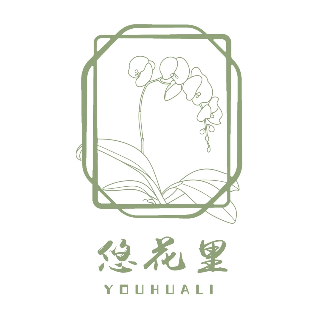 蝴蝶兰（骄阳）2.8全花