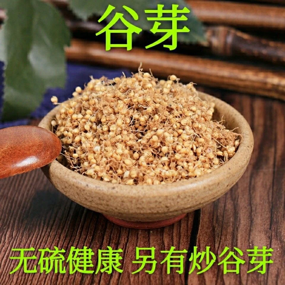 谷芽小米芽 生谷芽 炒谷芽100g/500g南谷芽 特产农产品另售决明子