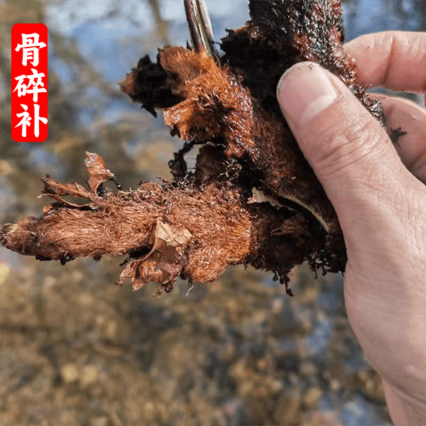 【精选好物】骨碎补干片 巴岩姜 毛姜 新货骨碎补250g/500g煮水泡水