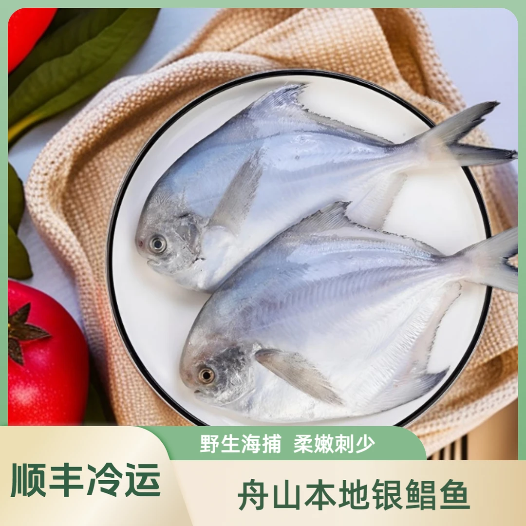 舟山东海野生海捕新鲜银鲳鱼鲳鳊鱼白鲳鱼速冻锁鲜冷冻深海鲜水产